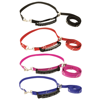 Prof. Choice | Bale Band