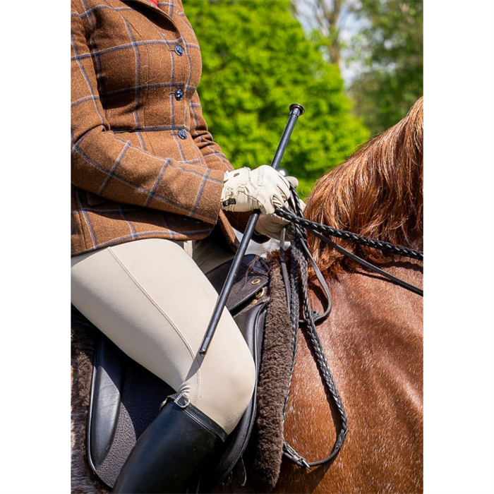 Woof Wear | Show Cane