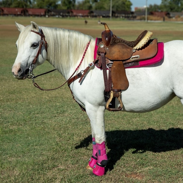 Western Pony