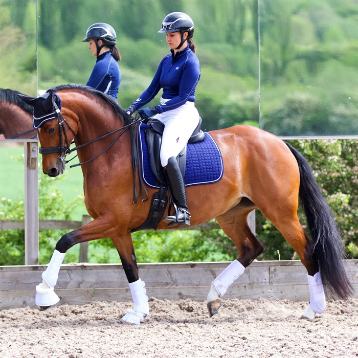 Dressage