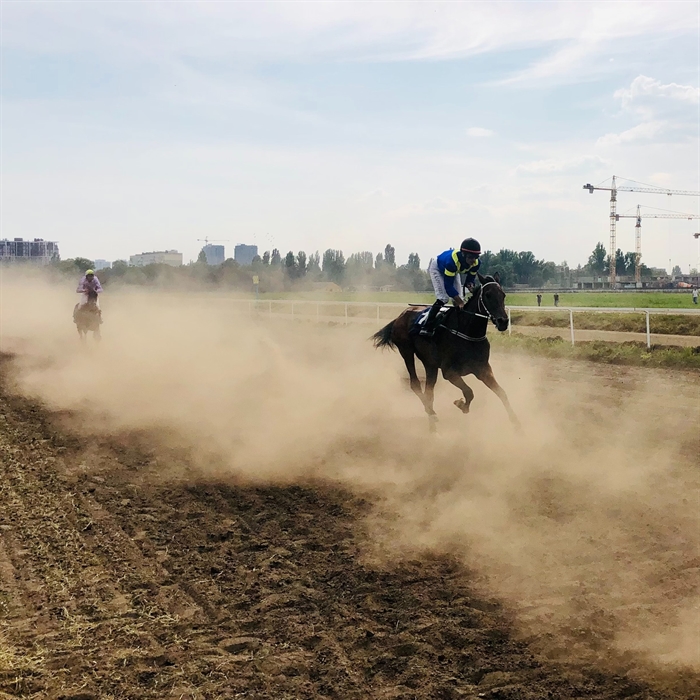 Racing / Trotting