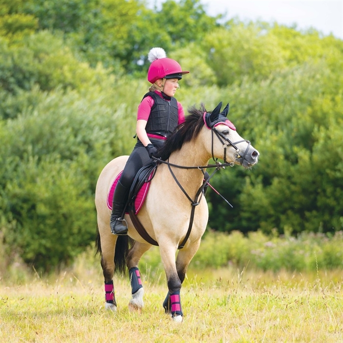 Pony & Miniature