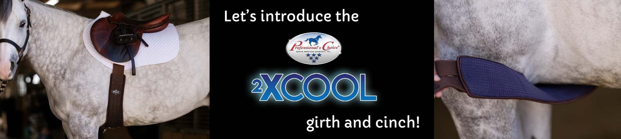 Introducing 2XCool english Girth